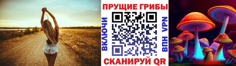 ОМГ ОМГ маркетплейс  Абинск  Псилоцибиновые грибы MAGIC MUSHROOMS 